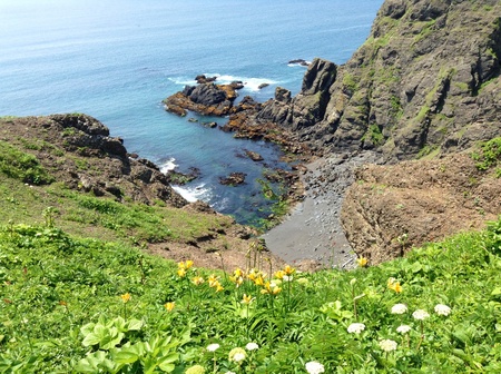 昨日は襟裳岬、今日は霧多布岬にツーリング_b0051109_8574450.jpg