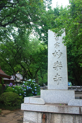 妙楽寺1_d0077811_211259.jpg