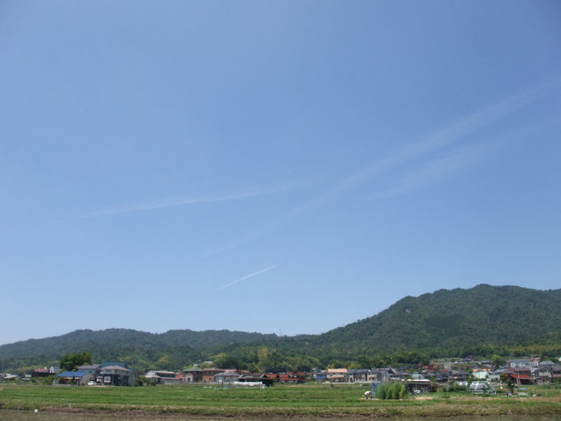 b0057612_16423617.jpg