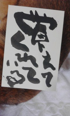 覚えてくれている_e0163013_10443443.jpg