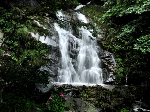 霧合ノ滝_f0184314_10322762.jpg