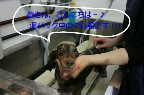 ゴロゴロ～(*^^*)_b0130018_22582790.jpg