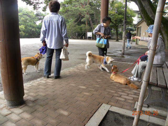 今日も雨_b0203018_1654238.jpg