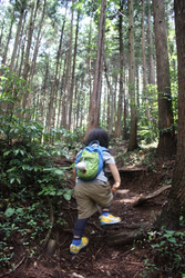 f0225521_23951.jpg