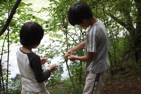 森林植物園_e0069822_1920597.jpg