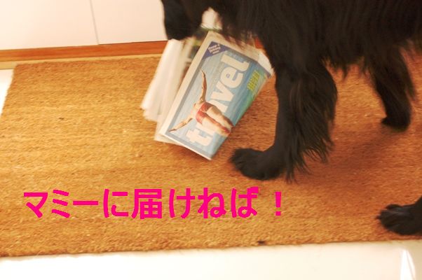 豆腐とわかめの甘ポン酢和え_d0104926_142297.jpg