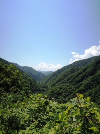 国道340号線、押角峠を越えて岩泉町への道のり_b0206037_10122689.jpg
