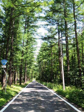 国道340号線、押角峠を越えて岩泉町への道のり_b0206037_1013680.jpg