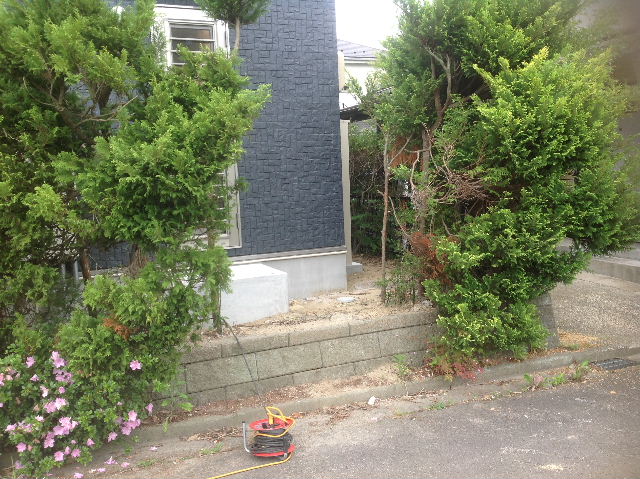 基礎と植木と・・・_f0031037_21545456.jpg