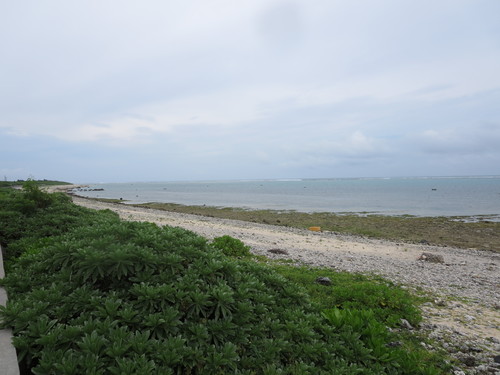 d0197346_19182948.jpg