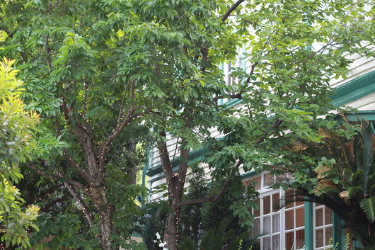 e0314548_23153.jpg