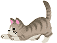 c0176651_114276.gif