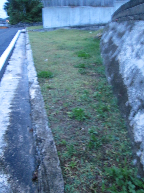 f0260263_1658122.jpg