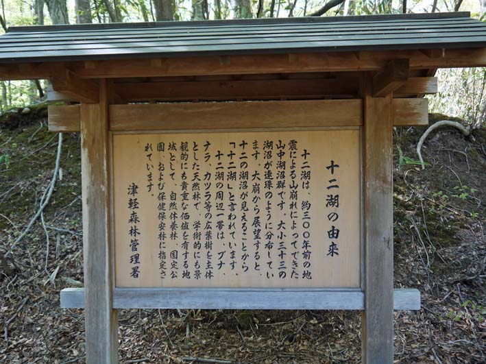 十二湖の神秘的な青池とブナ林：永平寺から白神山地へ②_c0014967_7475842.jpg