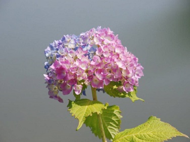 a0267370_10254556.jpg