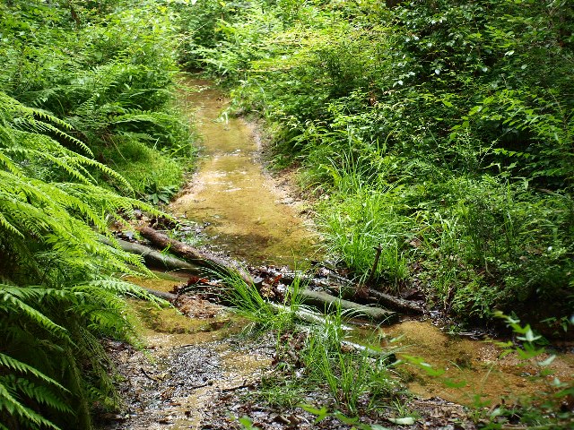 蕎麦ヶ岳で移動運用_d0177570_19494285.jpg