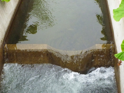 d0240983_21443.jpg