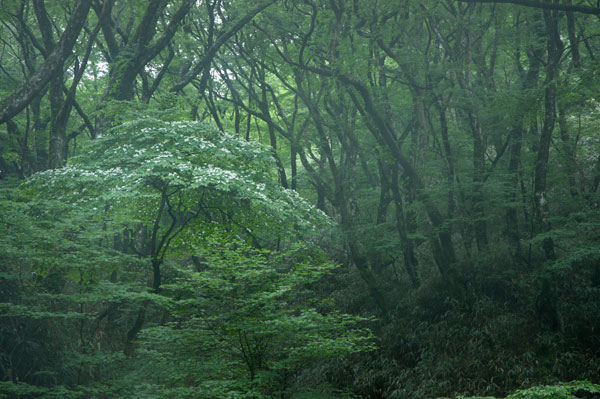 c0168986_9101763.jpg