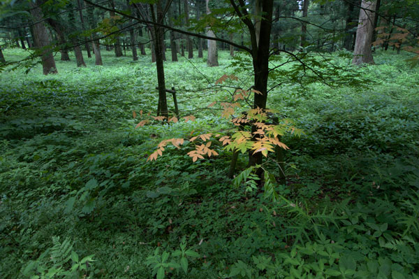 c0168986_9221428.jpg