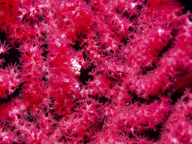 e0064291_16375298.jpg