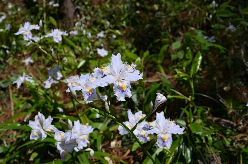 a0275900_9561969.jpg