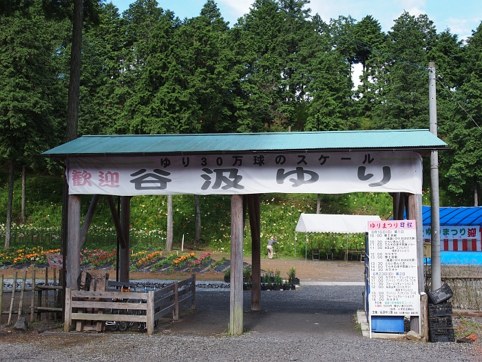 谷汲ゆり園_e0075403_1914167.jpg