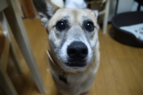 f0218911_233484.jpg