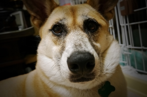f0218911_2373599.jpg