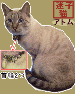 e0144012_14554437.png