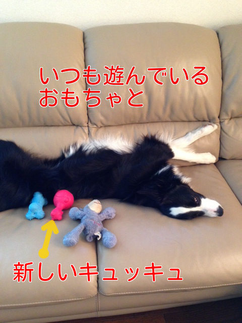 a0232619_1527432.png