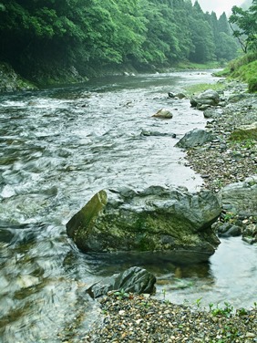 小雨・気温16.5℃・・今朝の針畑川　　　　朽木小川・気象台より_c0044819_7162810.jpg