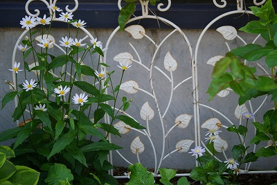 f0170524_15141775.jpg
