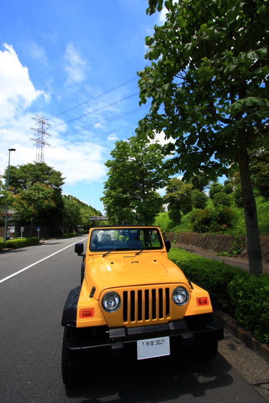 東京都はGMさま ご納車完了しました_f0105425_18531775.jpg