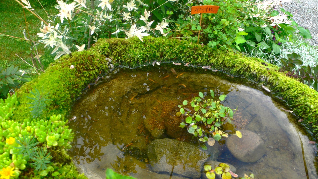 f0226226_99877.jpg