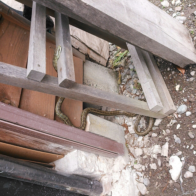 f0085327_9125772.jpg