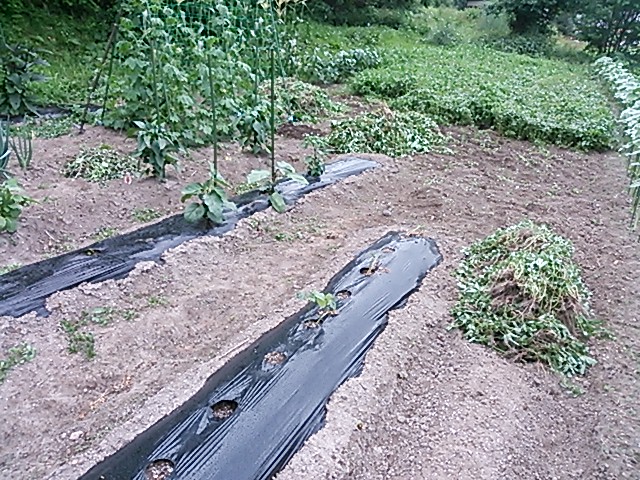 f0085327_97367.jpg