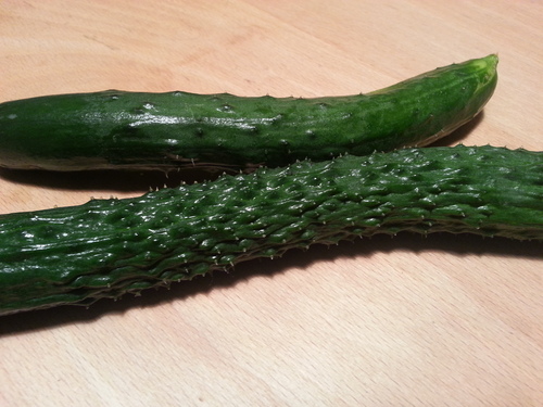 夏野菜の初収穫はトゲトゲがとっても痛いきゅうりでした がんちゃんの部屋 夏野菜の初収穫はトゲトゲがとっても痛いきゅうりでした がんちゃんの部屋