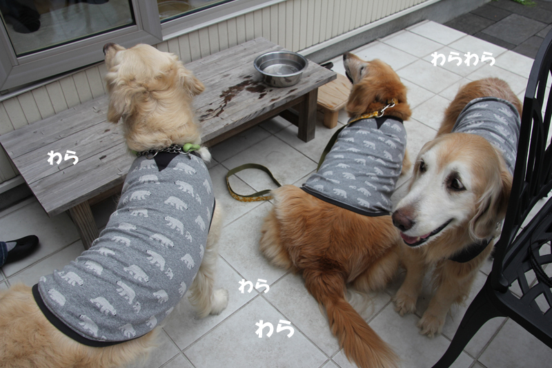みんなで♪_f0227228_14181428.jpg