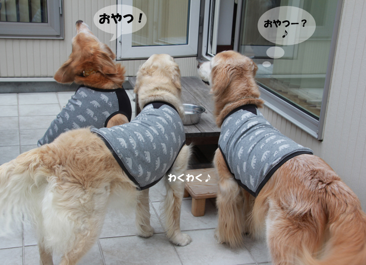 みんなで♪_f0227228_14192774.jpg
