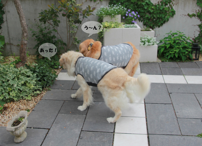 みんなで♪_f0227228_14351470.jpg
