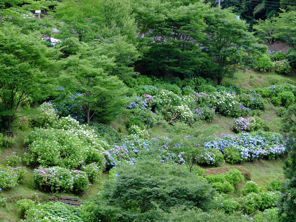 「福岡・糸島 白糸の滝」_a0000029_037357.jpg
