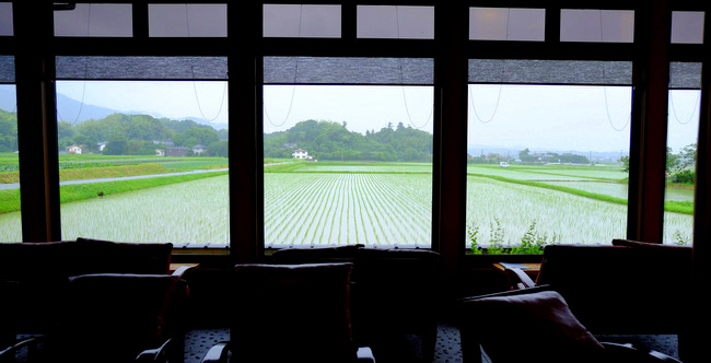 「福岡・糸島 田園喫茶 ワイルドベリー 伊都物語パフェ」_a0000029_22574553.jpg