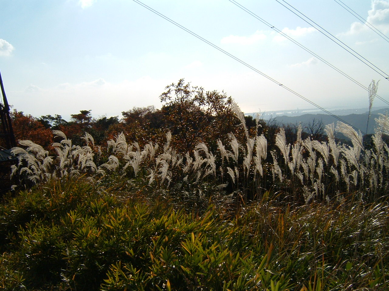 飯盛山登山_c0239329_0232614.jpg