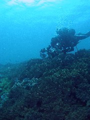13.6.27 今日はボートで_b0100730_218577.jpg