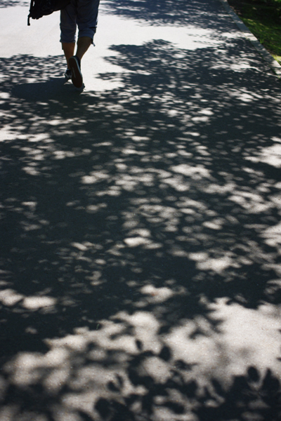 c0090139_22145156.jpg