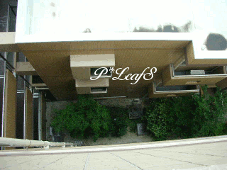 c0176651_1114364.gif