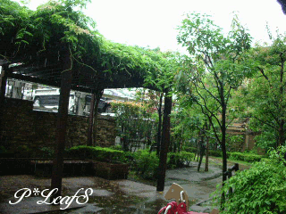 c0176651_11145864.gif