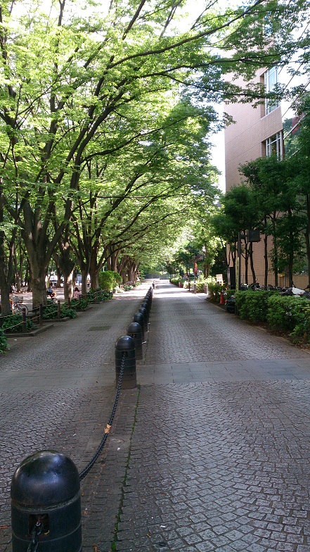a0275565_15331218.jpg