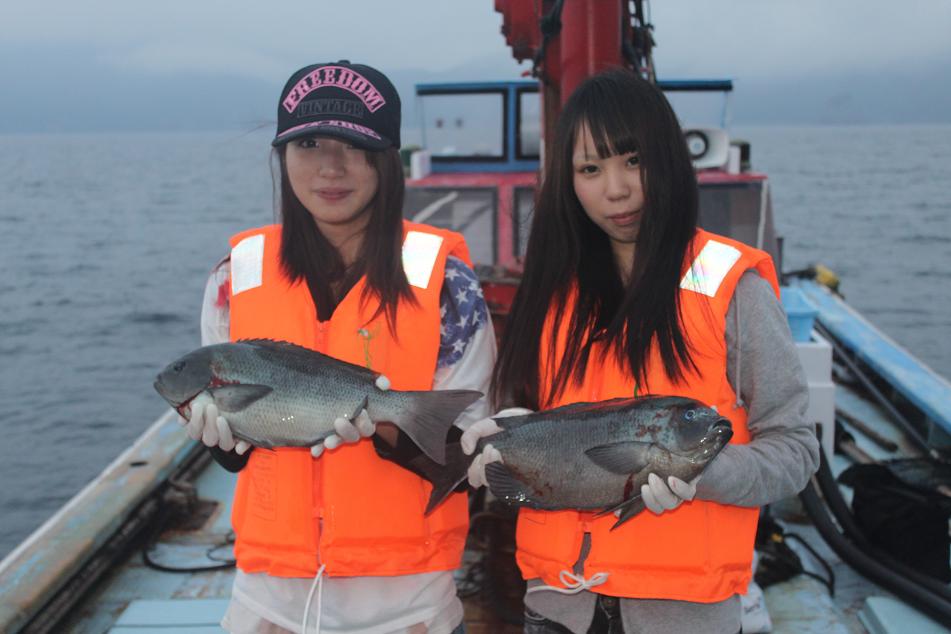 新企画　観光定置網漁・カモメの餌付け・採れたて鮮魚の朝食付きプラン_a0112066_17512132.jpg