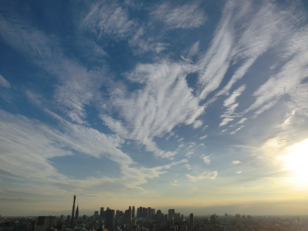 b0190666_23694.jpg